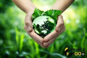 Environmental Sustainability